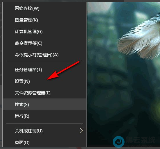 ѡ�������