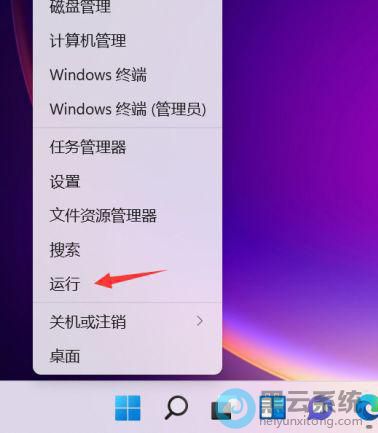 ѡ������