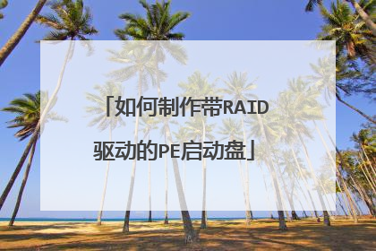 ���������RAID������PE������