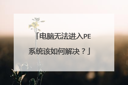 �����޷�����PEϵͳ����ν����