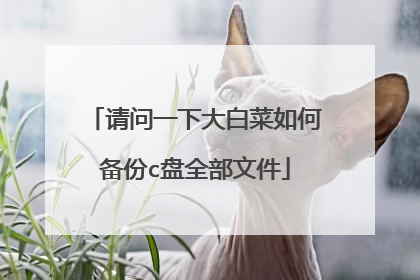 请问一下大白菜如何备份c盘全部文件