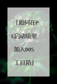 �����PE�����������DOS������