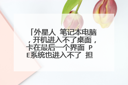 ������ �ʼǱ����ԣ��������벻�����棬�������һ������ PEϵͳҲ���벻�� ������װҲ����