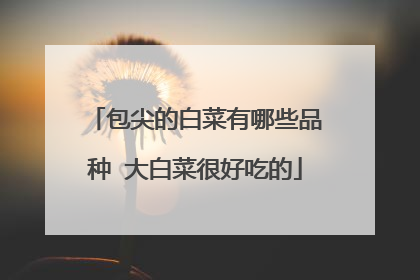 ����İײ�����ЩƷ�� ��ײ˺ܺóԵ�