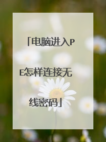 ���Խ���PE����������������