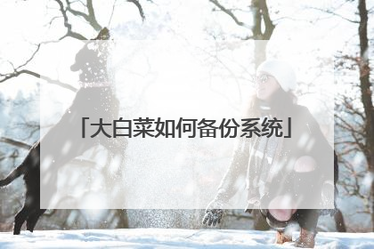 ��ײ���α���ϵͳ