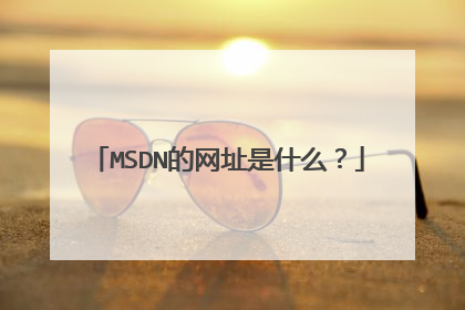 MSDN����ַ��ʲô��