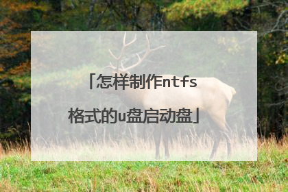 ��������ntfs��ʽ��u��������