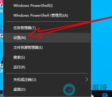 ѡ������ý���