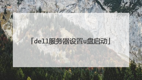 dell����������u������