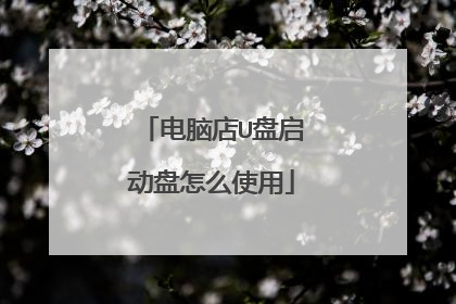 电脑店U盘启动盘怎么使用