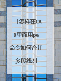 ������CAD������pe������κϲ������?