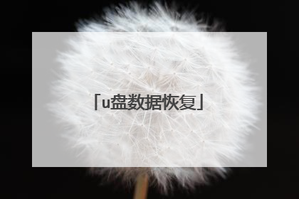 u�����ݻָ�