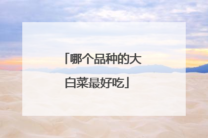 �ĸ�Ʒ�ֵĴ�ײ���ó�