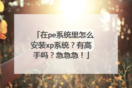 ��peϵͳ����ô��װxpϵͳ���и����𣿼�������