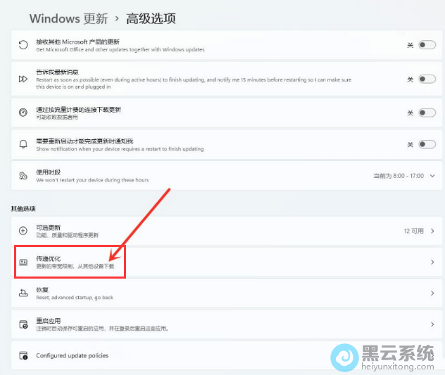 ��������Ż�ѡ��