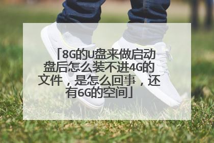 8G��U�����������̺���ôװ����4G���ļ�������ô���£�����6G�Ŀռ�