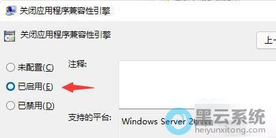 ѡ��������