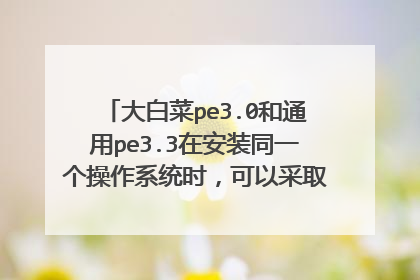 ��ײ�pe3.0��ͨ��pe3.3�ڰ�װͬһ������ϵͳʱ�����Բ�ȡͬ���Ĳ���������