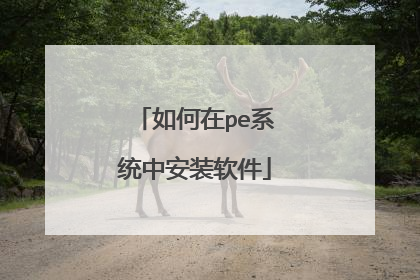 �����peϵͳ�а�װ����