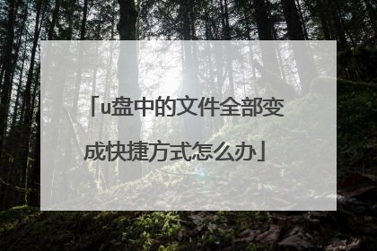 u���е��ļ�ȫ����ɿ�ݷ�ʽ��ô��