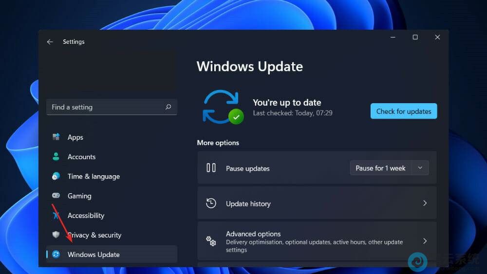 ��Windows����