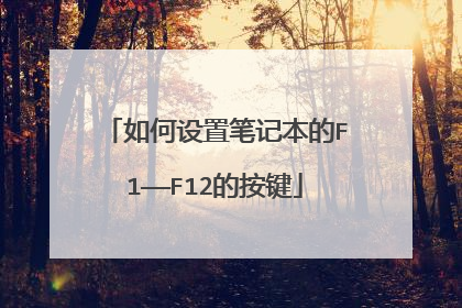 ������ñʼǱ���F1����F12�İ���