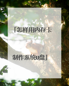 �������ڴ濨����ϵͳU��