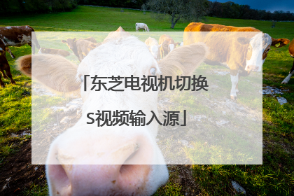 ��֥���ӻ��л�S��Ƶ����Դ