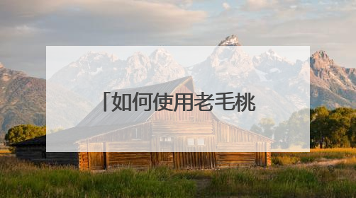 ���ʹ����ë������u�̰�װwin10ϵͳ