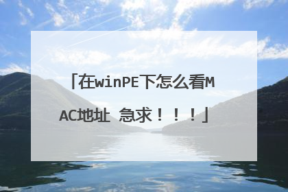 ��winPE����ô��MAC��ַ ���󣡣���