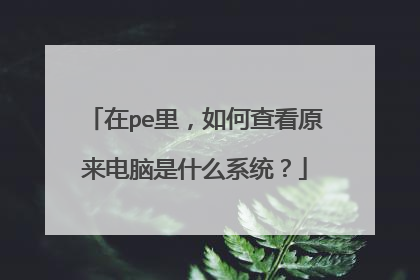 ��pe���β鿴ԭ��������ʲôϵͳ��