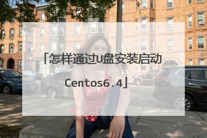 ����ͨ��U�̰�װ����Centos6.4