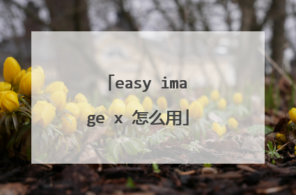 easy image x ��ô��