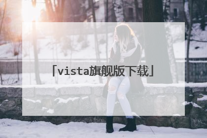 vista�콢������