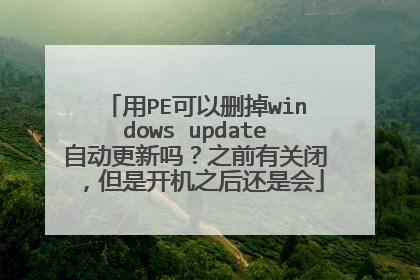 ��PE����ɾ��windows update�Զ�������֮ǰ�йرգ����ǿ���֮���ǻ�