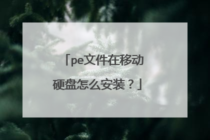 pe�ļ����ƶ�Ӳ����ô��װ��