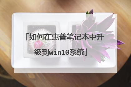 ����ڻ��ձʼǱ���������win10ϵͳ