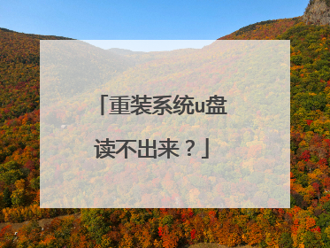 ��װϵͳu�̶���������