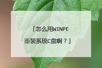 ��ô��WINPE��װϵͳC�̰���