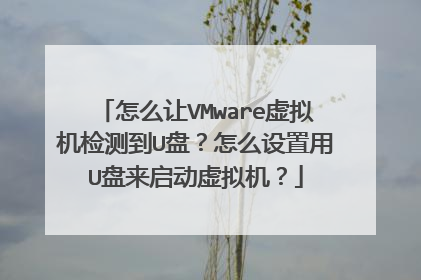 ��ô��VMware�������⵽U�̣���ô������U���������������