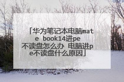 ��Ϊ�ʼǱ�����mate book14��pe��������ô�� ���Խ�pe������ʲôԭ��