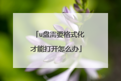 u����Ҫ��ʽ�����ܴ���ô��