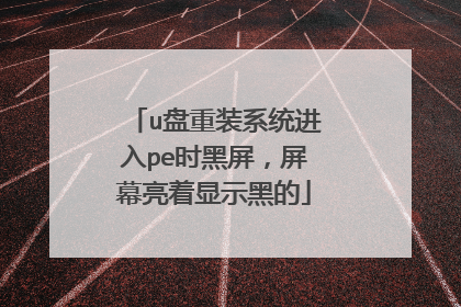 u����װϵͳ����peʱ��������Ļ������ʾ�ڵ�