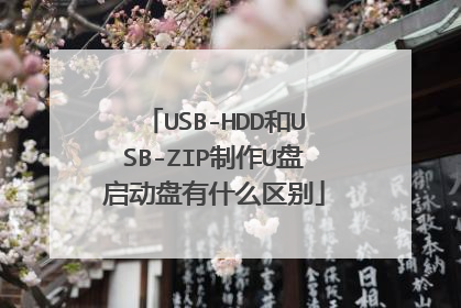USB-HDD��USB-ZIP����U����������ʲô����