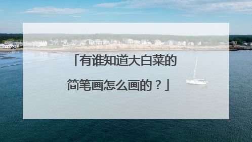 ��˭֪����ײ˵ļ�ʻ���ô���ģ�