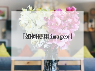 ���ʹ��imagex