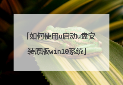 ���ʹ��u����u�̰�װԭ��win10ϵͳ