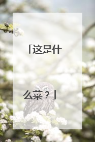 ����ʲô�ˣ�