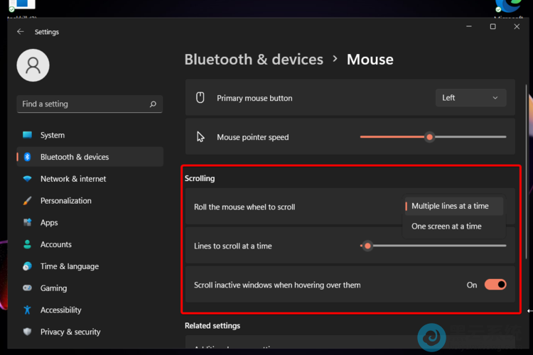 ѡ�������������